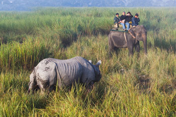 Chitwan Jungle safari 