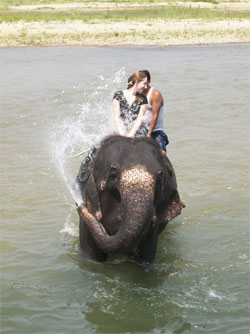 Chitwan Jungle safari , Elephant bathing