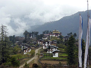 Gangtey Nature Trek