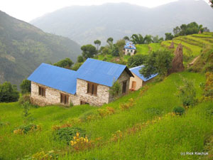 Our Contribution to the society